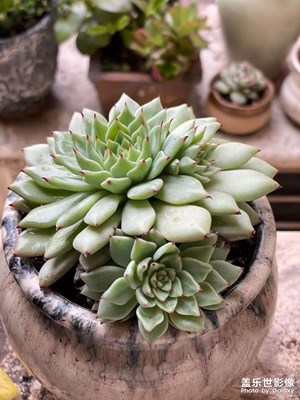 周末……