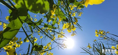 感覺不會再愛了