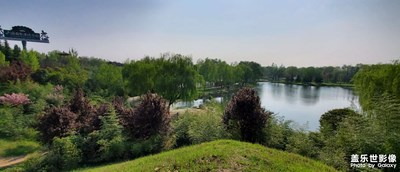 拍照我是業(yè)余的