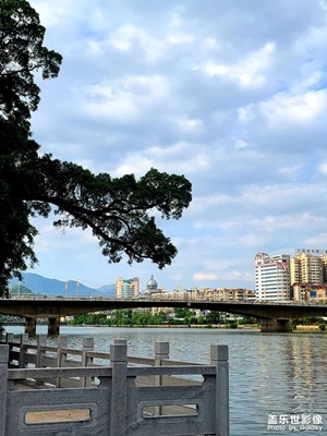 青龍(榕)探沙溪