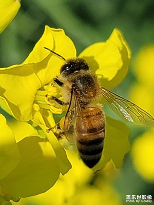 沒(méi)啥標(biāo)題