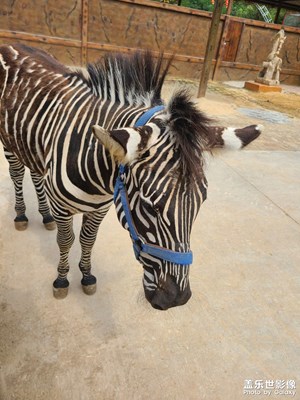 抓住五一小長假的尾巴????