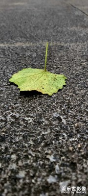 好看不？