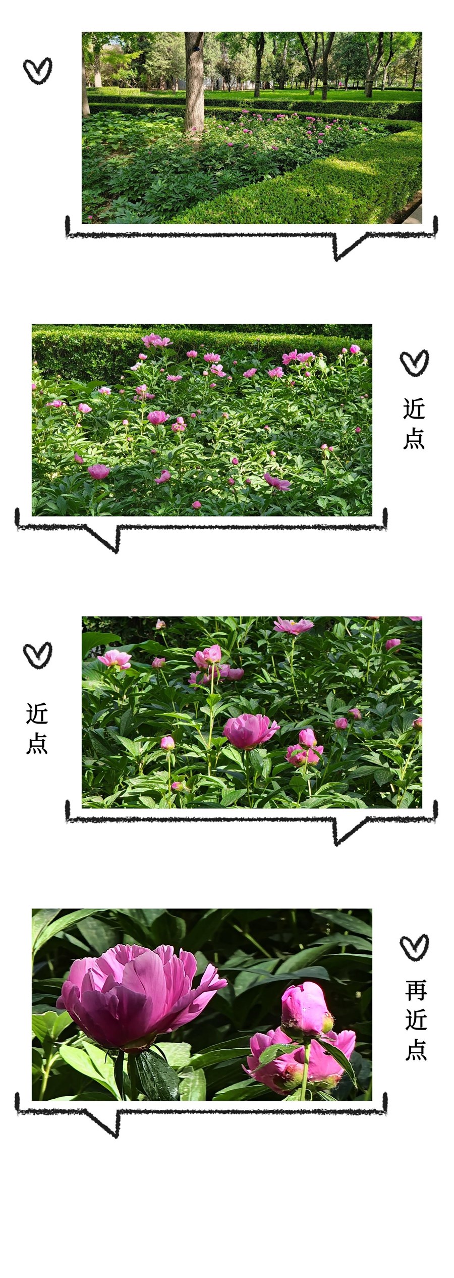 【母親節(jié)】父母輕松秒變拍照達(dá)人的秘訣（二）