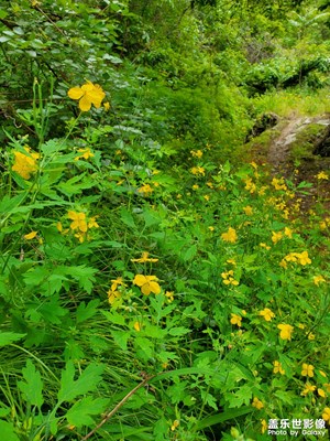 【出游記】+山中游記