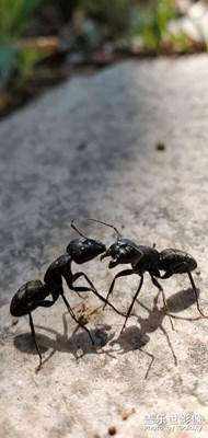 隨手拍發(fā)現(xiàn)美