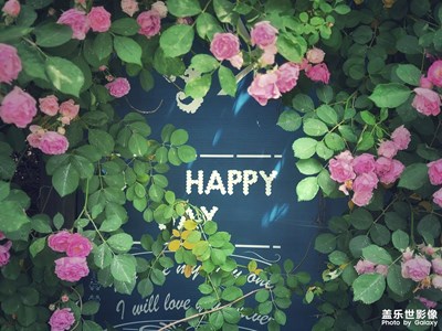 滿jia薔薇一院香