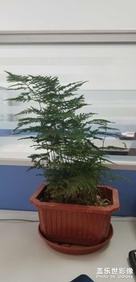 S5與之拍照對比S8