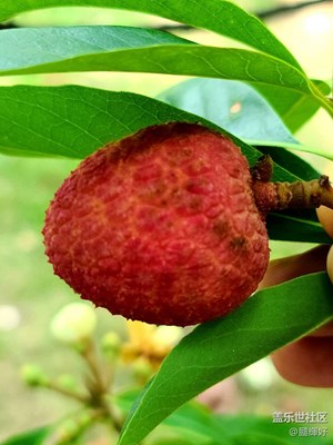 來幾張剛照的照片