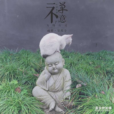 以前S9+拍的照片