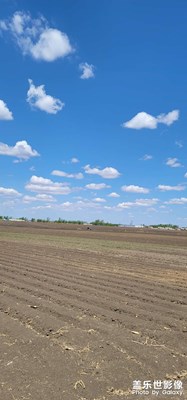 鄉(xiāng)下一日游