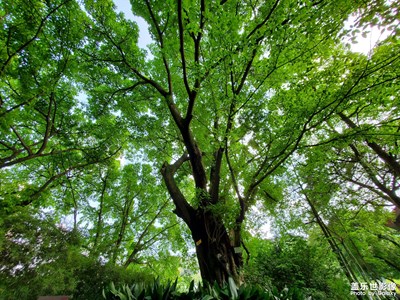 【我的色彩】+自然的顏色