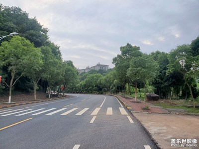 真是枯燥的大學(xué)生活