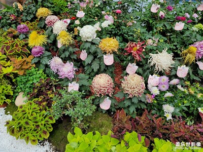 哈哈，花博會(huì)真好