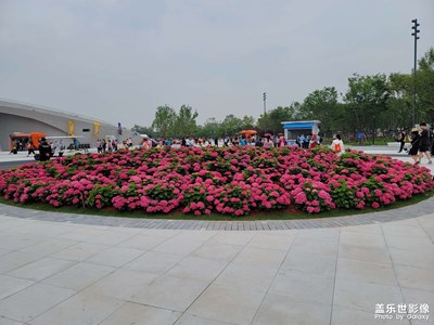 花博會(huì)來(lái)咯，好開心