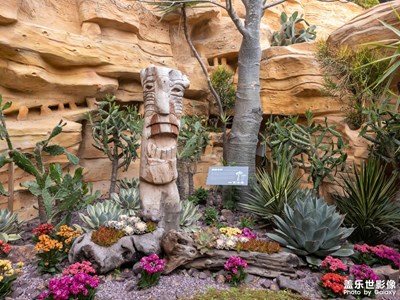 上海·花博會(huì)（四）