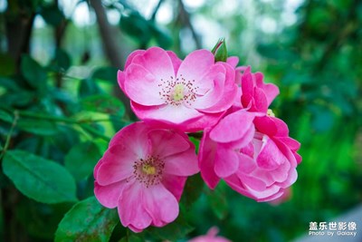 上?；ú?huì)（二）