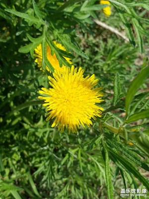 【發(fā)現(xiàn)之美】+夏日隨拍