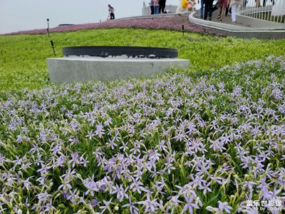 花博會(huì)啊啊啊KKK