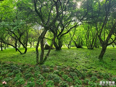 拍照比較 2.5正式版和最后一版系統(tǒng)