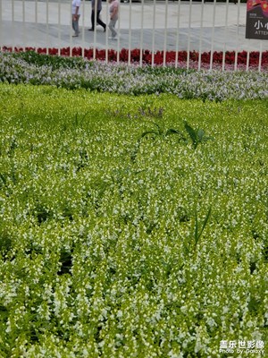 花博會(huì)開啦，哈哈