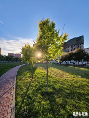 【發(fā)現(xiàn)之美】+我工作生活的城市