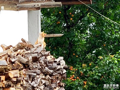 熬出低谷，花期不遠。