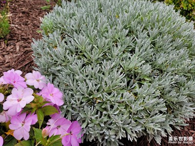 花博會(huì)開始啦