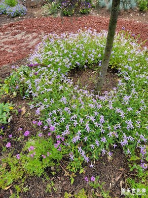 花博會(huì)開啦，來(lái)呀