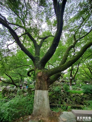 Fold 初體驗(yàn)，awesome