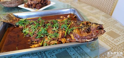 水庫釣魚一日游，很開心！