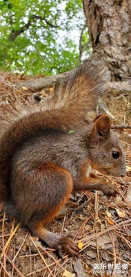 【隨處風(fēng)景】+鐵嶺龍首山