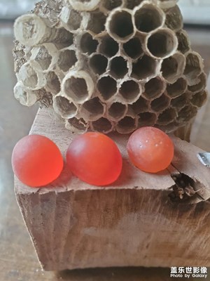 難得一遇的美石，手工制作戒面，外表的圓潤，喜歡的詢！