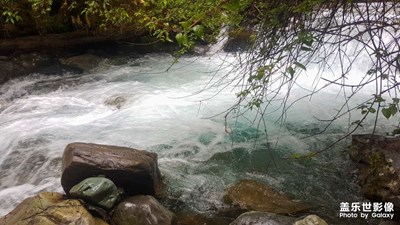 夏日清涼 綠野仙蹤