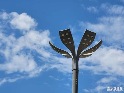 今日照片 藍(lán)天白云，花花草草，烏云