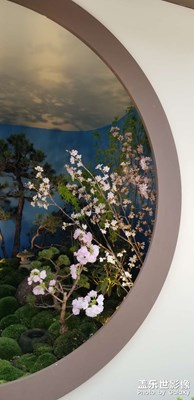 半園春色一點紅