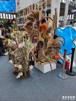 花博會(huì)來(lái)吧哈哈