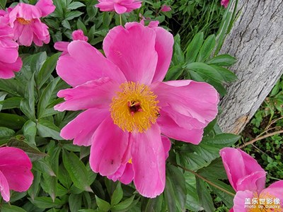 【留住精彩】+城市隨拍