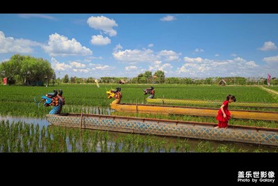 【留住精彩】+沈陽星部落活動(dòng)的精彩風(fēng)光