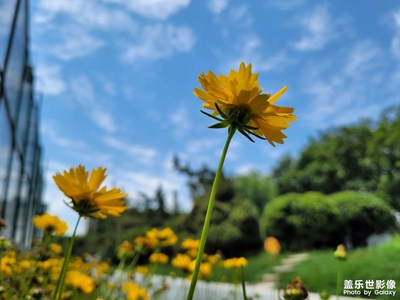 s20fe的拍照還是很能打的