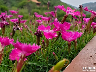 兩年前的S10+拍照