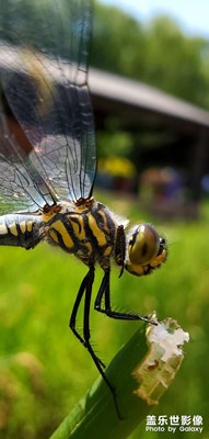 發(fā)現(xiàn)精彩