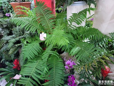 花博會(huì)開啦，哈哈，好開心