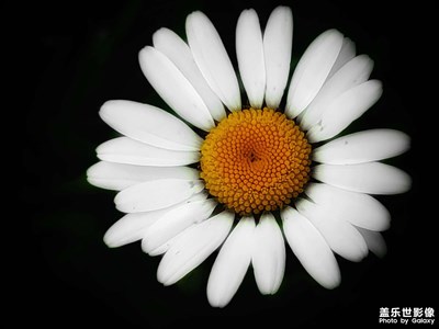 星之?dāng)z影 - 生如夏花