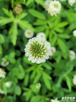 【留住精彩】+夏日印象