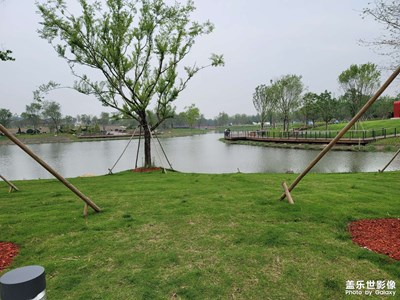 花博會(huì)開啦哈哈