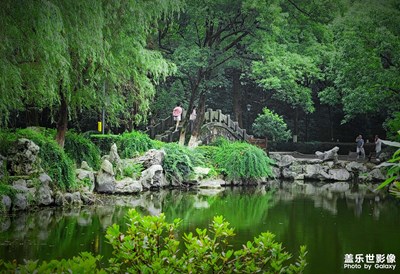 【星動(dòng)一夏】夏日生活氣息