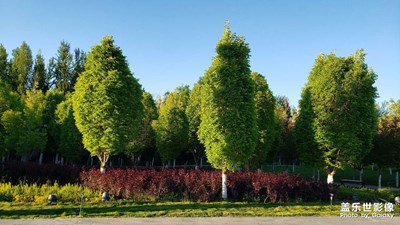 【美好生活】隨手一拍