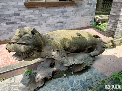 【星動(dòng)一夏】+花舞人間