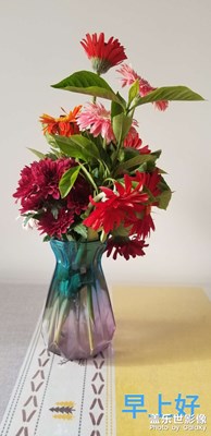 【星動一夏】插花